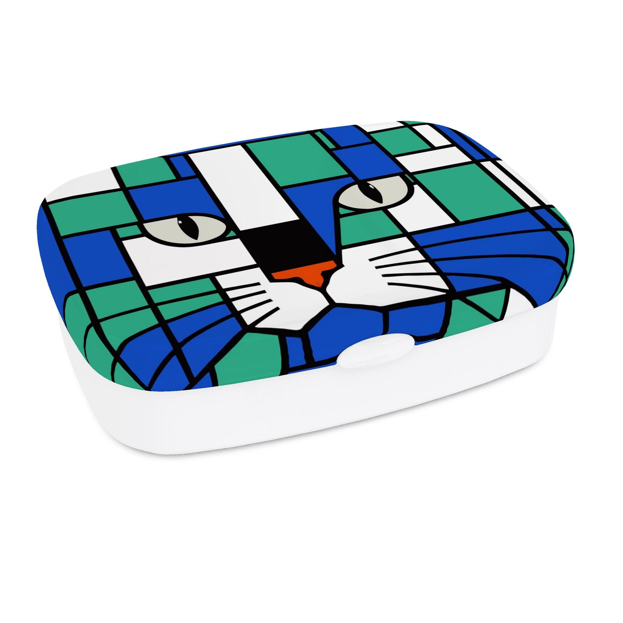 Aqua Lunch Box