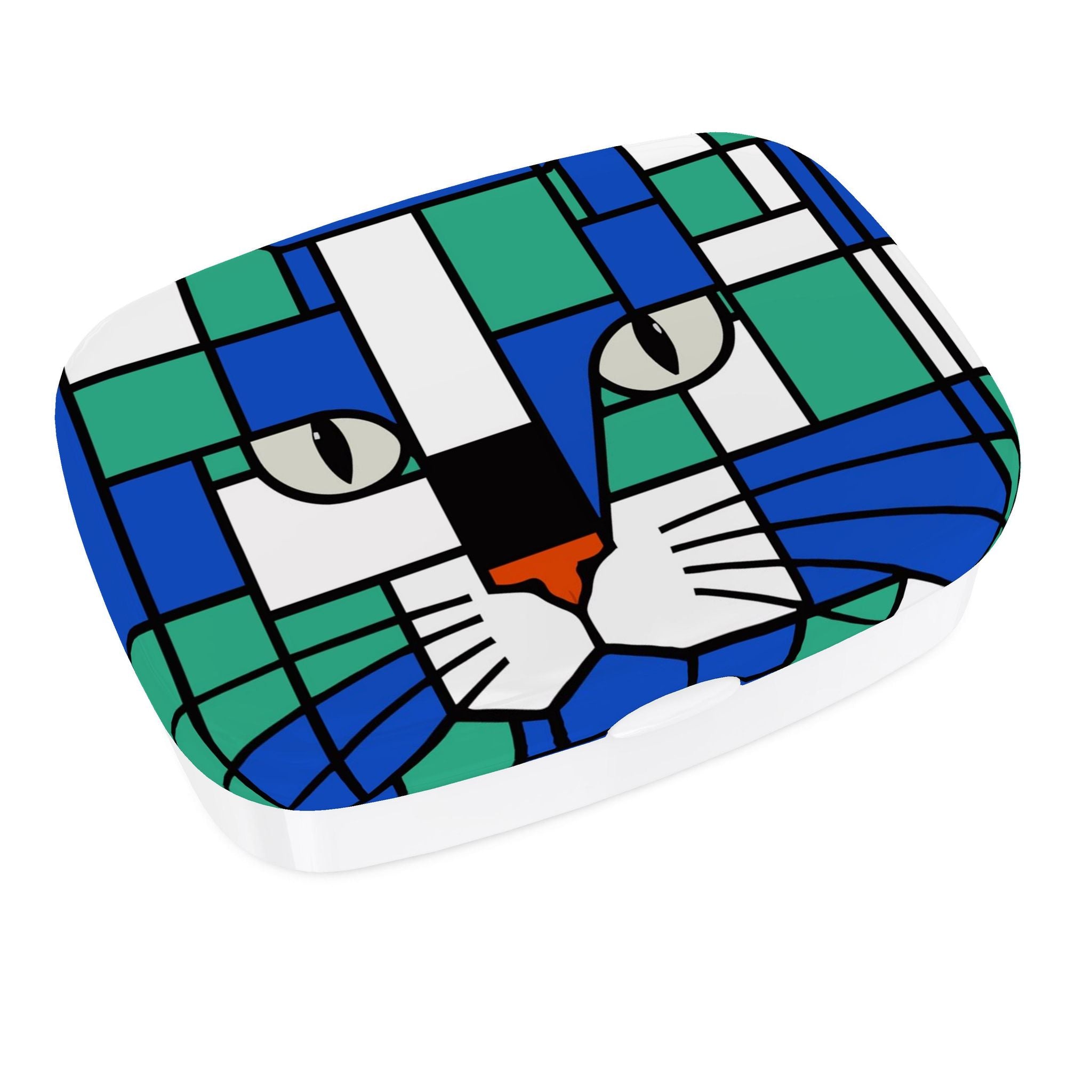 Aqua Lunch Box