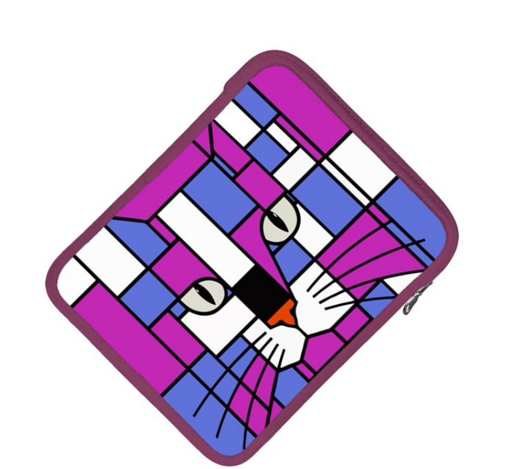 Cosmic & Storm  Double Print iPad Sleeve / Slip Case - Designer Padded Tablet Case
